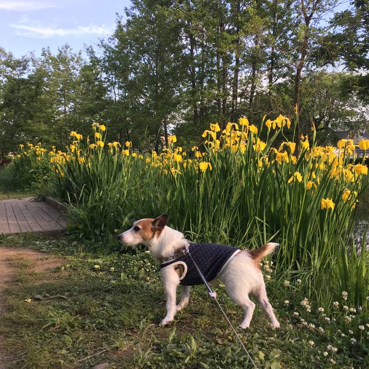 7f26a619 46cc 4d7e b091 fae8868cf7de 1588983751883