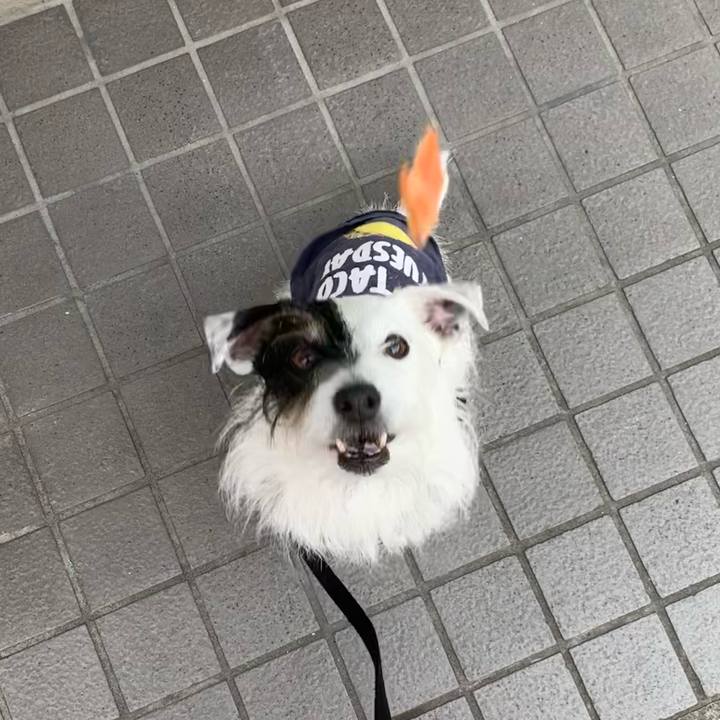 7f26ab60 d976 4a5c 89c2 49f06025d7c9 1680225217157