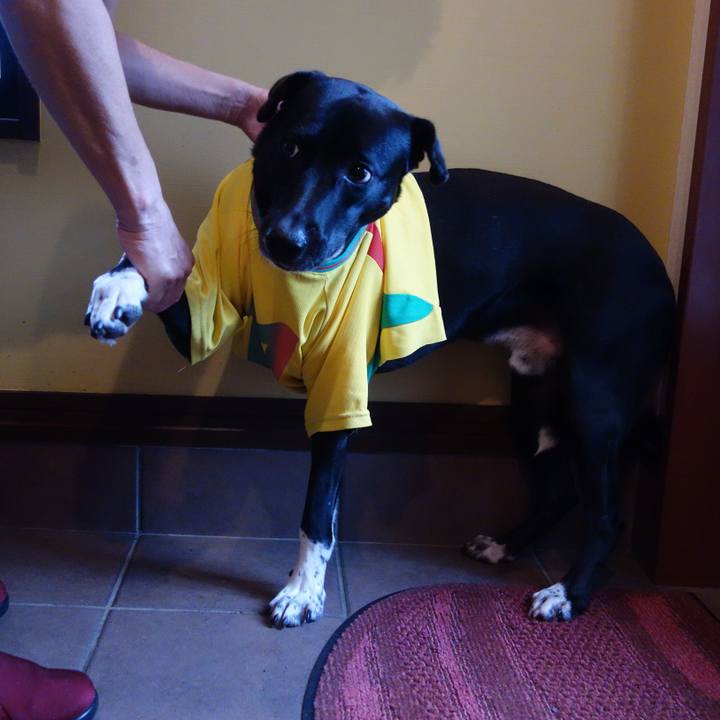 7f26ae4f eb34 4953 840b e12ecccc2f53 1595896433275