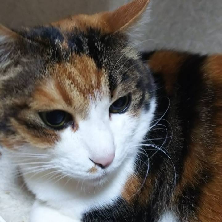 7f26c11a f8f7 4b54 a86f e7abf49fdbe5 1575409588621