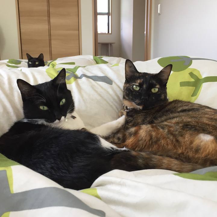 7f26d9f1 f637 4a73 8370 be48202deea1 1526783311225