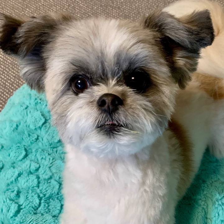 7f26ff2c b6be 48c4 a751 26bc744ee58e 1556012467258