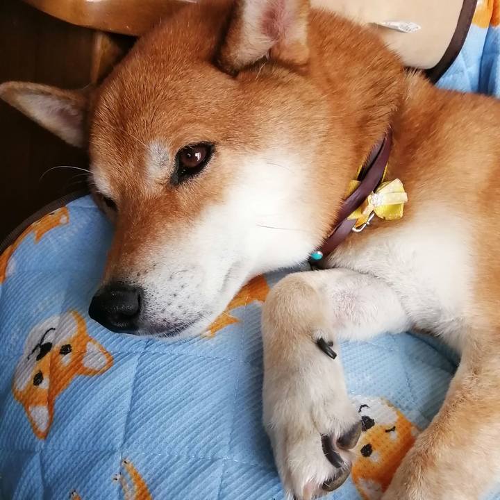 7f278dea bf80 4c6f be1b 9a9f2efd1b0f 1599700103251