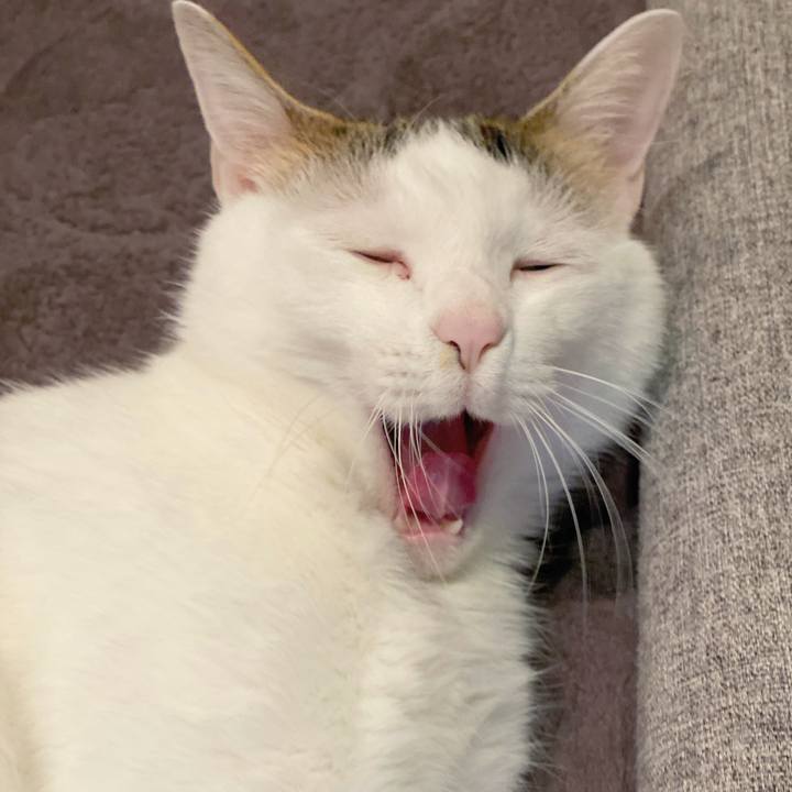 7f27b528 307e 469b ab0d 0f98fbef5a0c 1582122555178