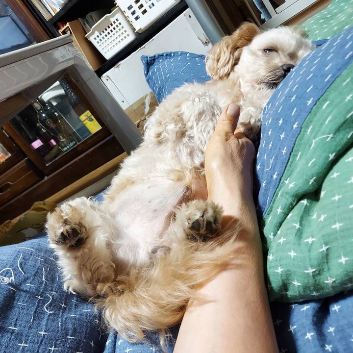 7f27ca0a 8a50 47e3 ab90 ba44846bb260 1632887517036