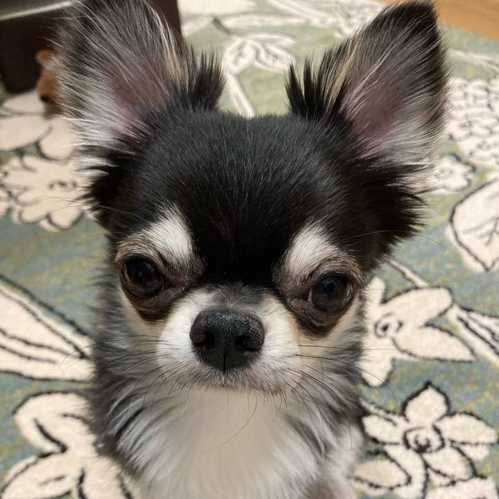 7f27e096 649c 4e07 a8d6 d175eb8f9688 1619965401621