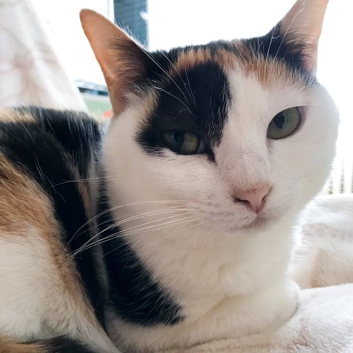 7f281ee8 e027 4ed7 840d 9026f276276a 1522374279309