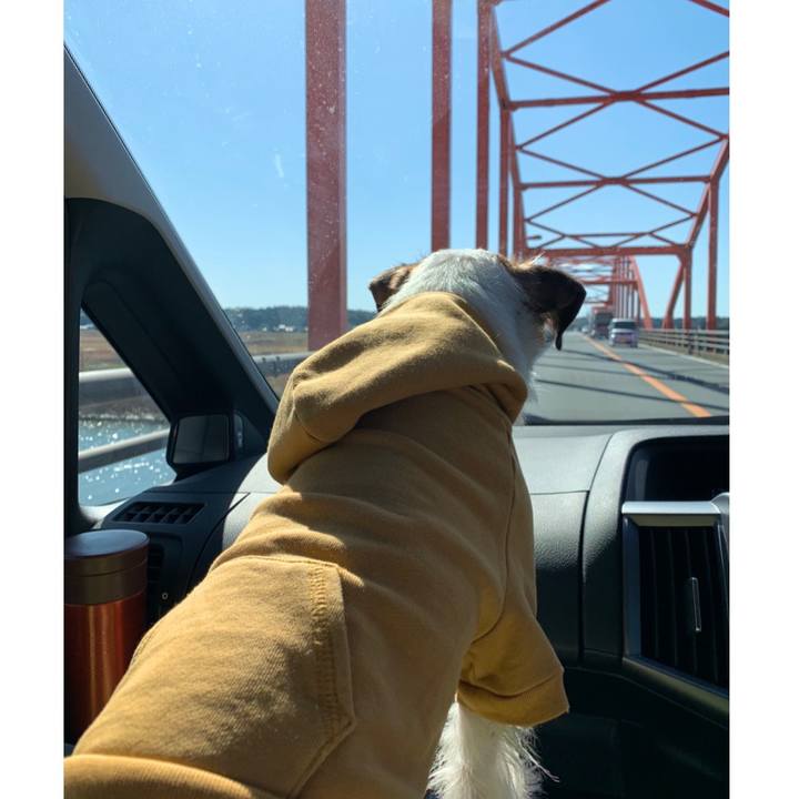 7f28369d 074e 4da5 aa83 7909ce3e2ec6 1581224832457