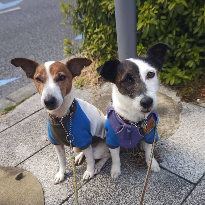 7f283823 5298 4585 afd2 8925dcb6f79b 1742441005086