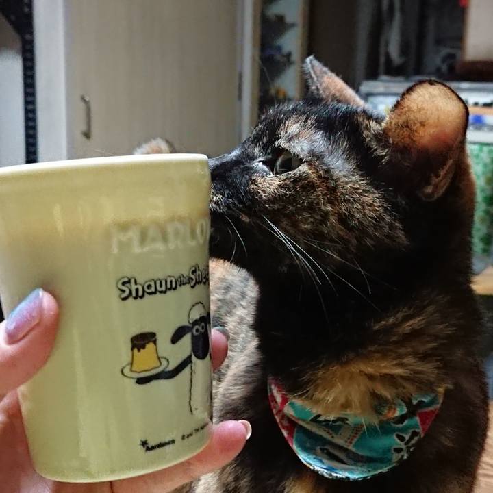 7f284bbd 0c92 4d39 8cee 10ba9deced55 1603717231839