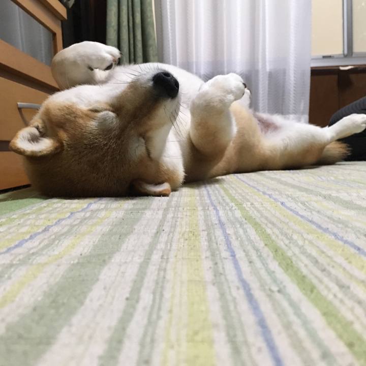 7f285981 edb1 4a7d a3a9 544269a64e95 1561884544179