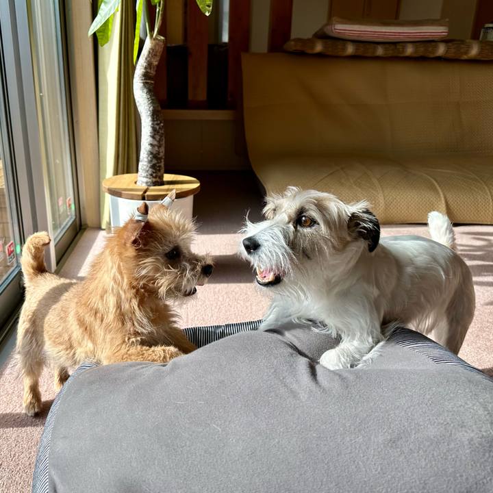 7f2874d9 e76c 42ab 86fa 9be86a17b6a7 1705572108173