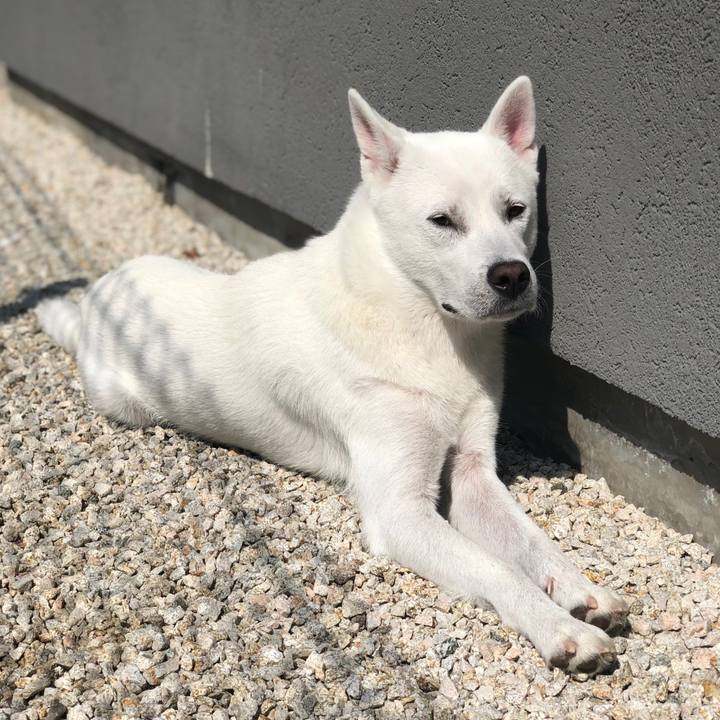 7f2885e8 5218 4bbb ac87 e4e041c72d6b 1570595416143