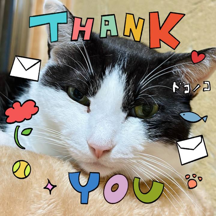 7f28b204 2f77 4047 bfcd 5425e8024a7d 1715045430748