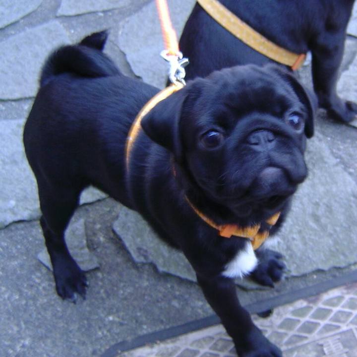 7f28c07f fbb5 4d7a 9838 8b28606c6ab6 1518574872080