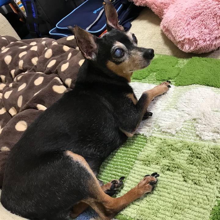 7f28d005 92b3 4a29 901d 7bb26954ecae 1564918109332