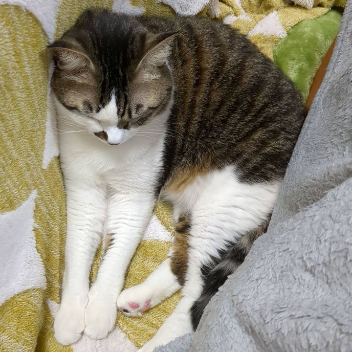 7f28eb0f 5988 4d3f 89de 430c0a3b6bfd 1673616147088