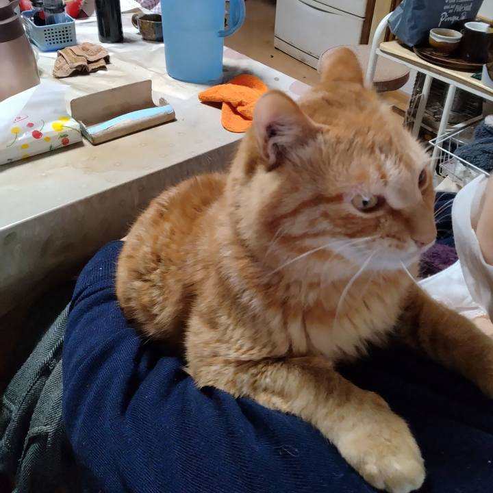 7f28f801 44b8 48d5 8968 b582ba912672 1681012135544