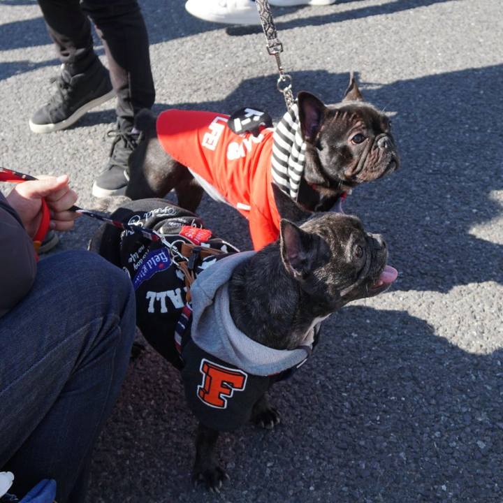 7f291ef6 5891 4775 8b45 52bb5455cd37 1549172327196