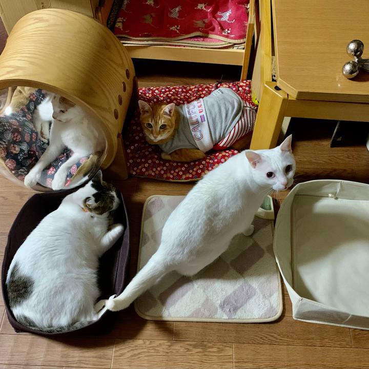 7f294bda dd36 4911 a8eb af939fb90516 1614607469116