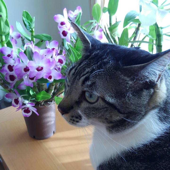 7f2974f5 1c69 498d 8ae0 e543b15cb926 1515281077025