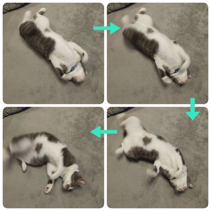 7f299623 7e5a 40d2 bfdf c2c26a6e39a7 1614636812941