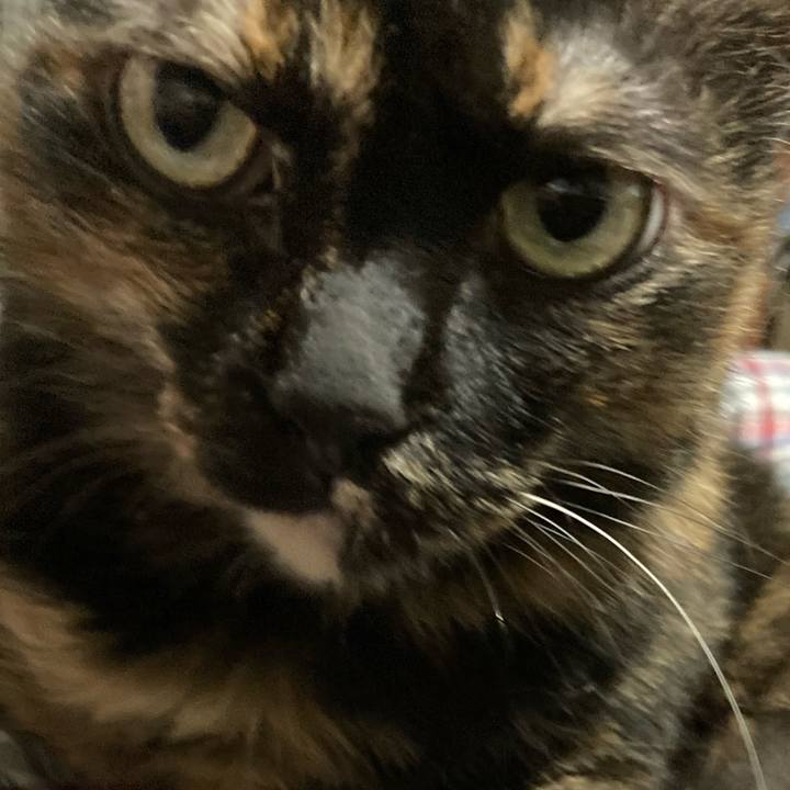 7f299f0c 4991 4d5a 9a46 be53d1cd506a 1657369947646