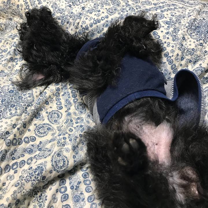 7f2a13e1 d657 42dd aec3 48099162492c 1526649237648