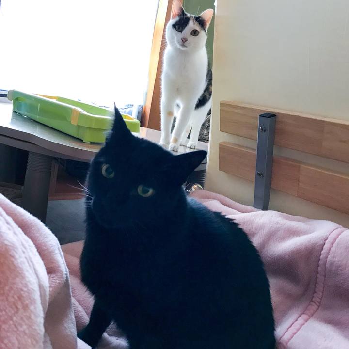 7f2a2032 b1f2 4eba 95ac 12002842cd61 1510190282499