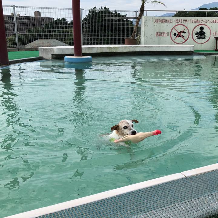 7f2a389f df10 4e10 ae44 dad2743e42a0 1537669210020