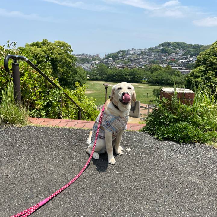 7f2aa8af ad49 46cd b682 8086f31568b3 1620978643205