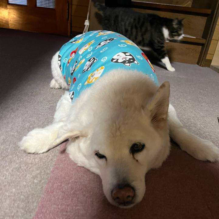 7f2aba79 10cc 4592 ae25 30172d7e8e1c 1768347874177