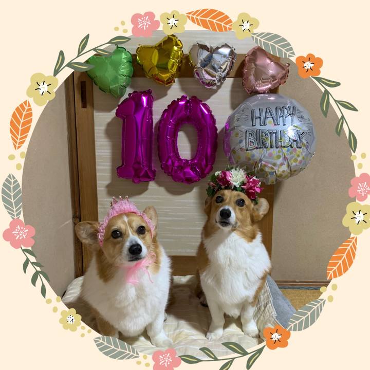 7f2af6e1 19b9 4e10 86d2 4daf04b53f56 1652882254715