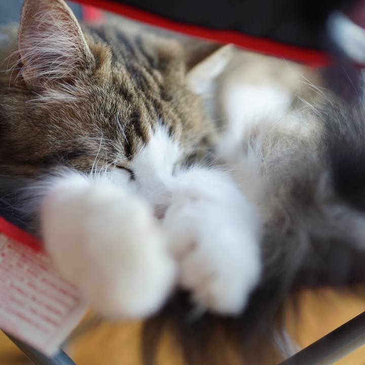 7f2b141f b4b0 4df9 a78b 60f4db323cdd 1592348869807