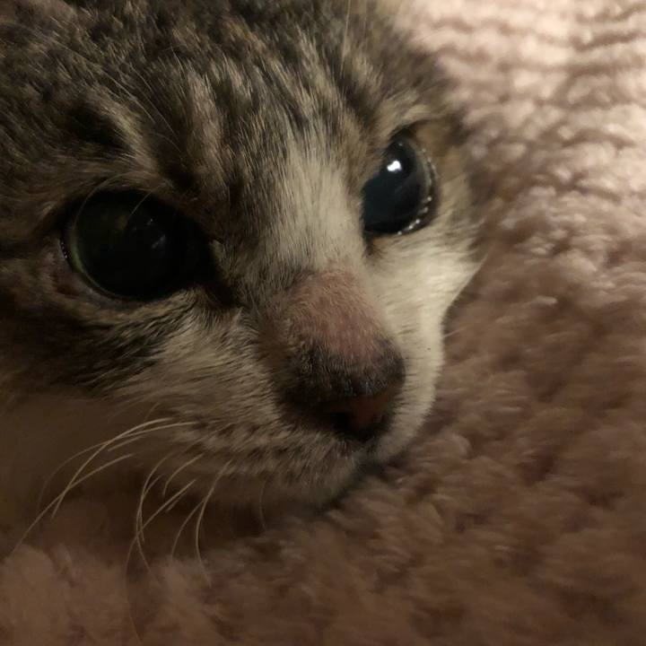 7f2b3501 c649 470e 901b 6649dc53448b 1550548976342