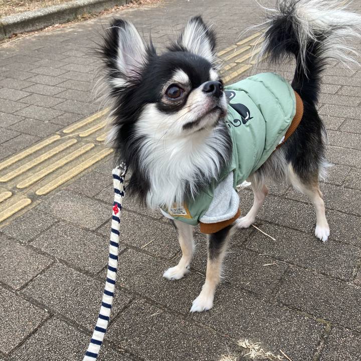 7f2b66b9 c991 4686 b09e 863ba8dbff15 1610339237392