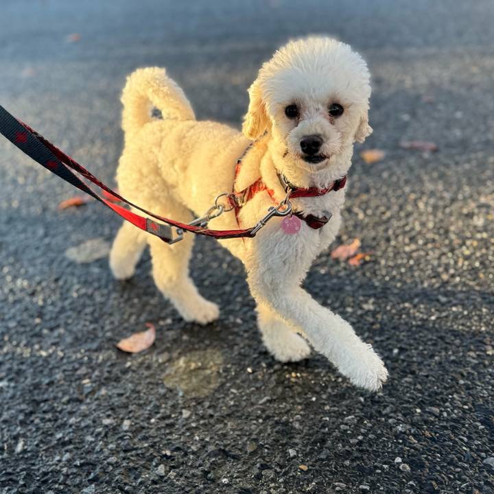 7f2b6bf6 9942 4f51 9226 a2658c9577d0 1762084358801