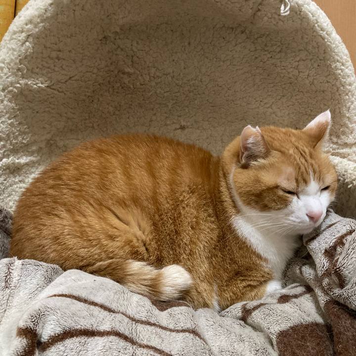 7f2b7961 c5a5 4670 8438 0c11f93706ae 1766058621386