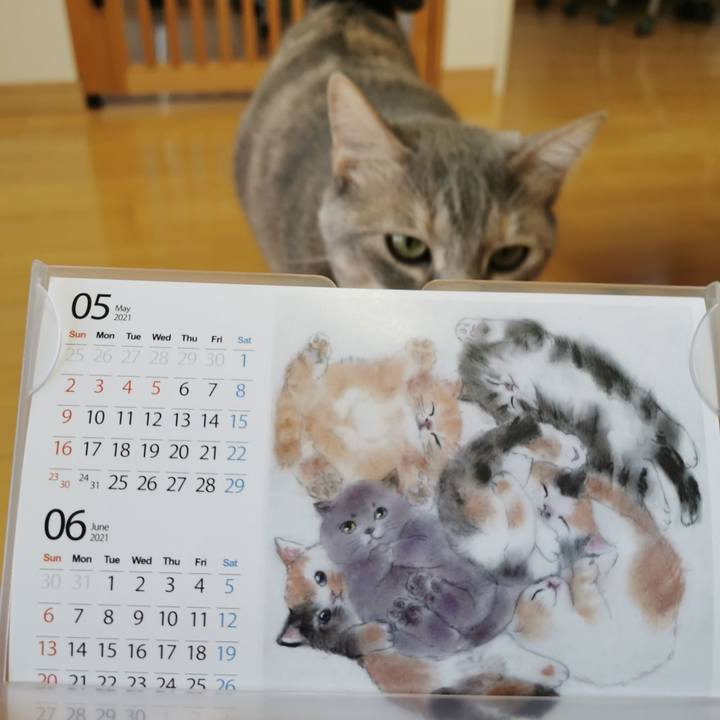 7f2b8a27 32af 4c79 a7c5 c6bd6bd9b6ba 1620276230301