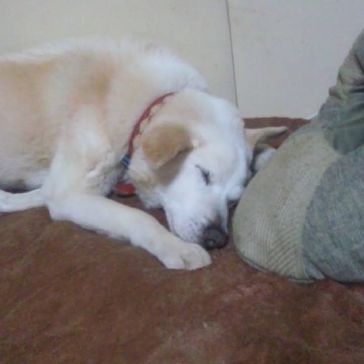 7f2bb738 3d27 48d6 ab49 923c9b296d7b 1522078360512