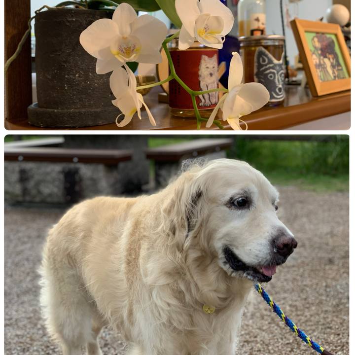 7f2bc239 f4a3 418c 81e8 8467e3637467 1771414767053