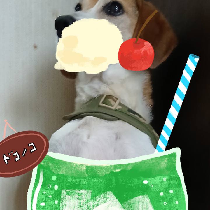 7f2bff92 8294 48a7 8d32 3bbb104abb60 1755063077189