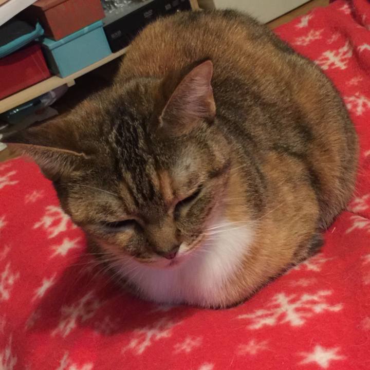 7f2c0f54 1650 43fe 8ad8 394bf1dd87b4 1575199682071