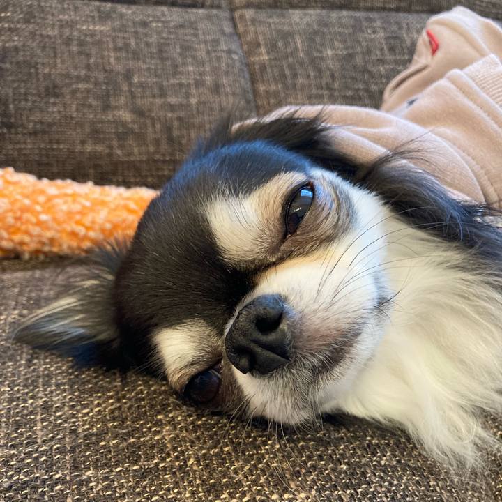 7f2c1864 a318 42c6 95f1 93bec00440c9 1708251203742