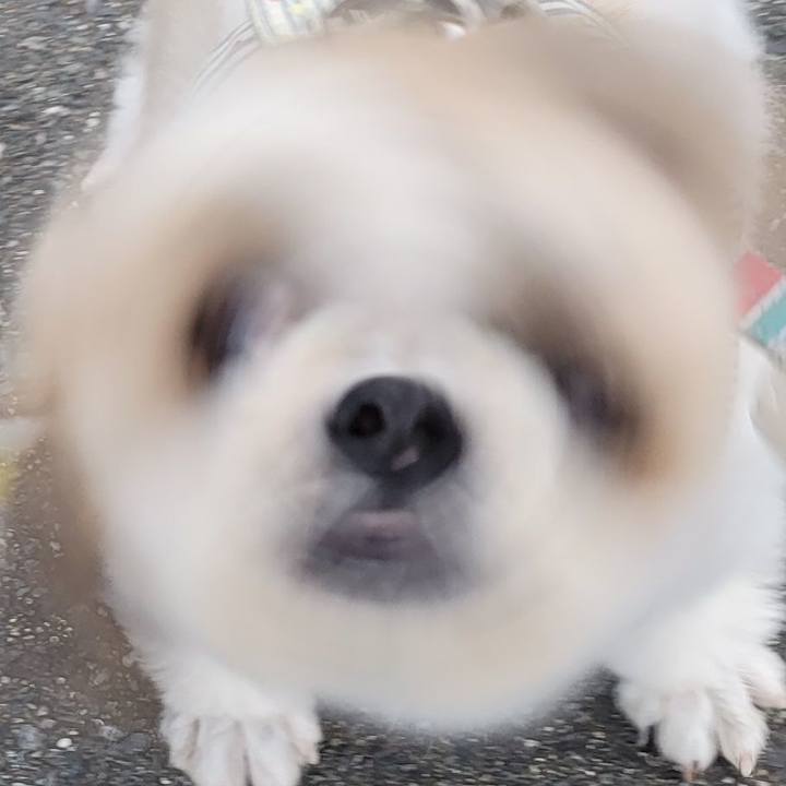 7f2c2324 939c 4b10 9ae3 b25e80949dde 1752877035352
