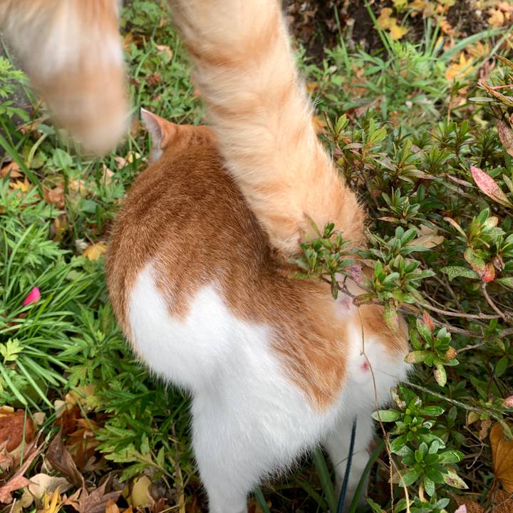 7f2c4253 726c 41c3 a5a5 c3becbe7439f 1574652766760