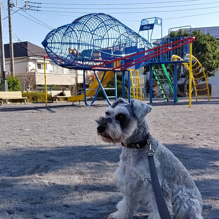 7f2ca86b ba32 4d63 bc4b 24d3daed7903 1543631613290