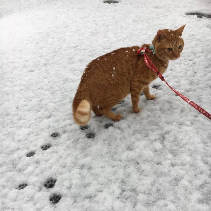 7f2cf6a7 921d 48d6 9690 fed9fa71613d 1516606885774