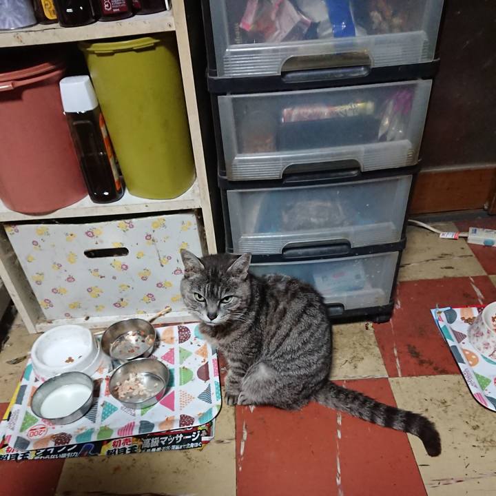 7f2cf8c1 d51a 4475 b521 b123a70c5f9d 1588711177280