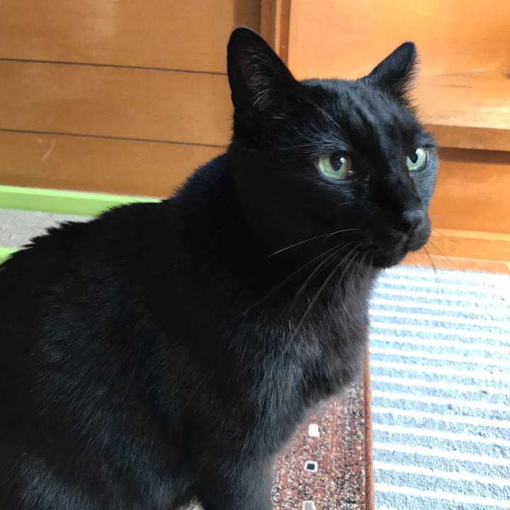 7f2d1cae 750b 4410 87c1 569bde7edce7 1522807077108